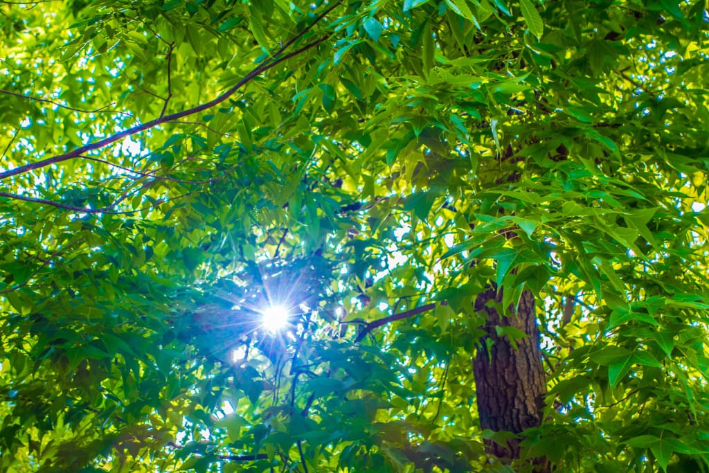 HDR合成結果 + 明瞭度 & 彩度 調整