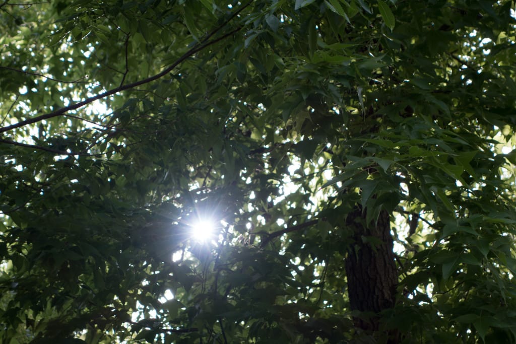 露出ブラケット撮影 1枚目（f4.9 / ISO 160 / 1/125sec. / -0.7EV）